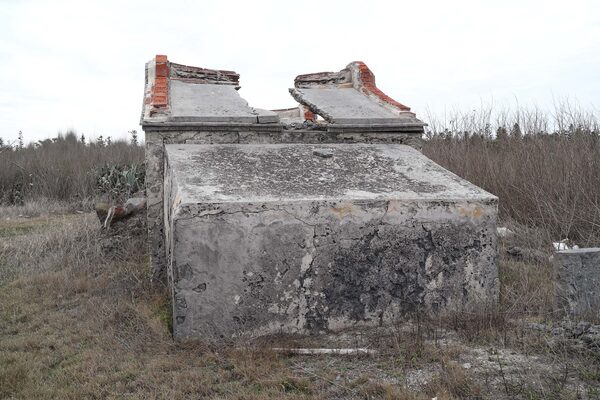 2026萬靈公廟記錄