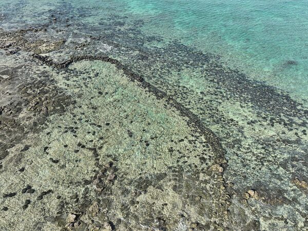 2025菓葉石滬記錄