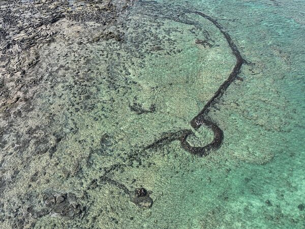 2025菓葉石滬記錄