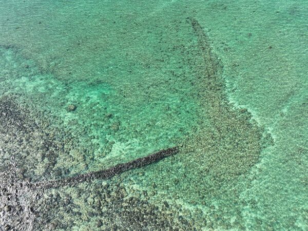 2025菓葉石滬記錄