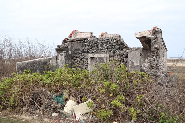 2026萬靈公廟記錄