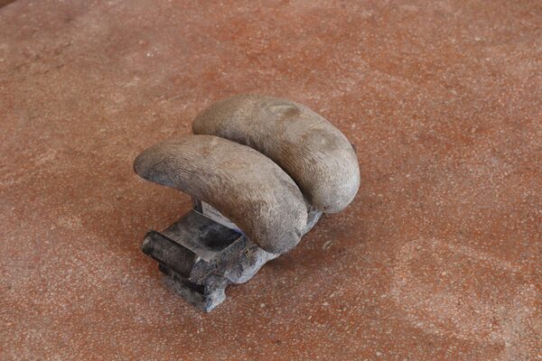 2026龍門將軍廟記錄