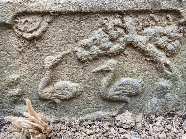 2026陳悠濟墓園記錄