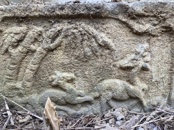 2026陳悠濟墓園記錄