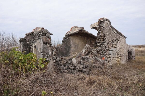 2026萬靈公廟記錄