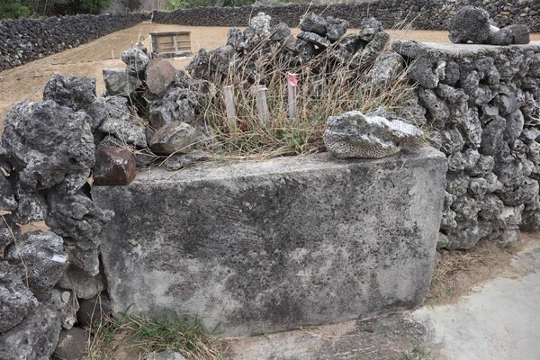 2026龍門將軍廟記錄