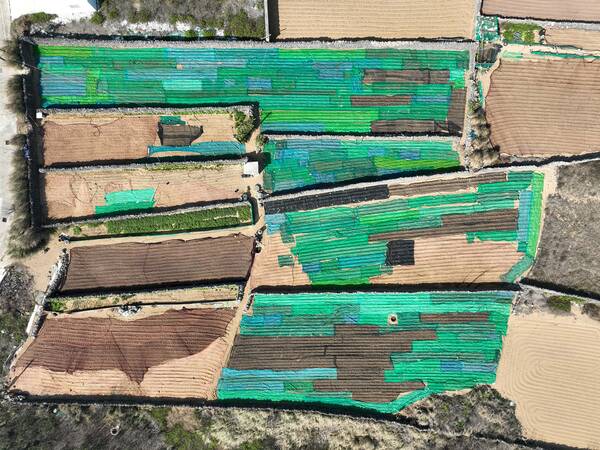 2026澎湖菜宅記錄