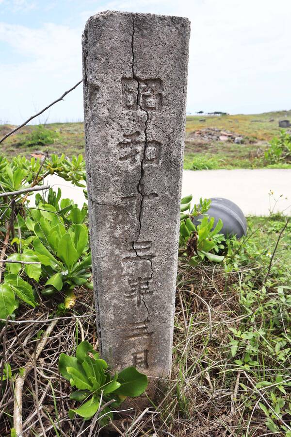 共同墓地碑記錄